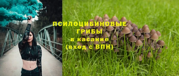 СК Алзамай