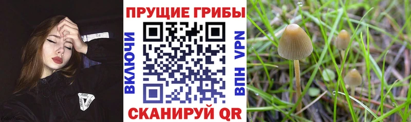 Галлюциногенные грибы ЛСД KRAKEN как зайти Ликино-Дулёво