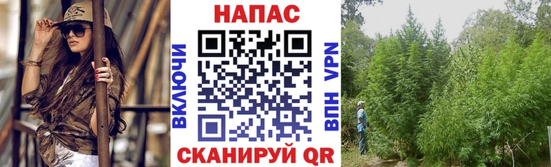 Марихуана план Ликино-Дулёво